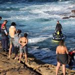 Atak rekinów w Sydney: „Są w szoku” – ekspert ds. morskich zastanawia się nad reakcją świadków ataku
