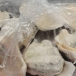 Podróżni ukarali setki grzywnami za przywiezienie ostryg z Pacyfiku