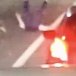 Atak koali: kobieta z Queensland została zaatakowana przez koalę na ruchliwej autostradzie