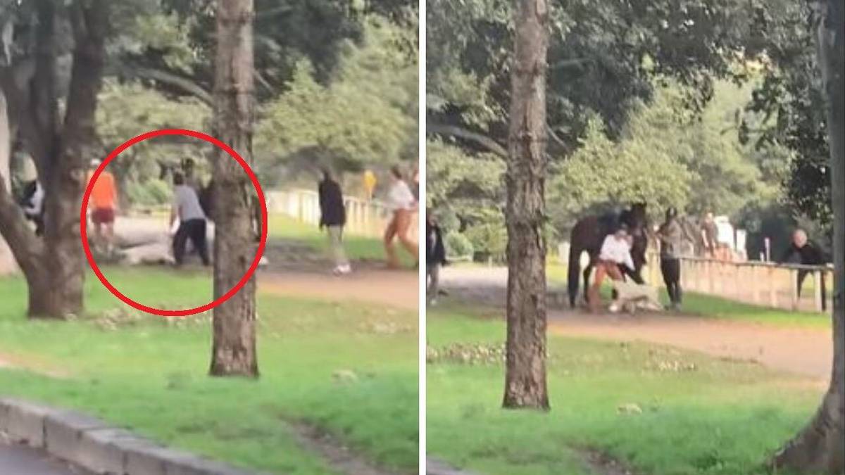 Pitbull sfilmował swoją strzelaninę na koniu w parku w Sydney
