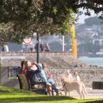 Ostrzeżenia związane ze wzrostem poziomu promieniowania UV w Nowej Zelandii w porównaniu z ubiegłym rokiem