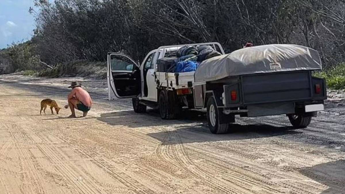 Policja turystyczna ukarała grzywną w wysokości 2300 USD za niegrzeczne zachowanie na Fraser Island